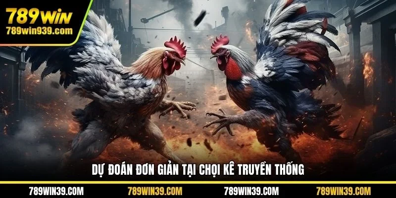 Dự đoán đơn giản tại chọi kê truyền thống