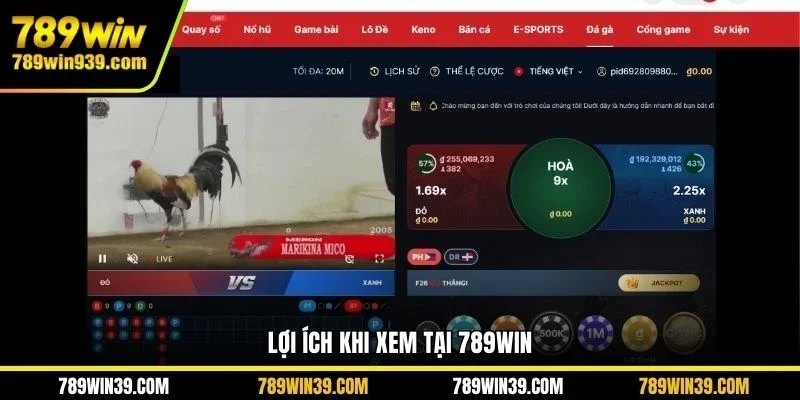 Lợi ích khi xem tại 789win