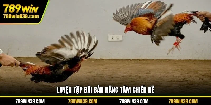 Luyện tập bài bản nâng tầm chiến kê